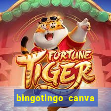 bingotingo canva pro gratis